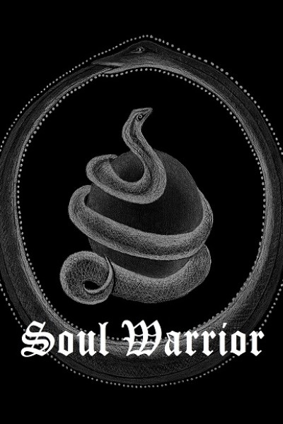 Soul Warrior - A Futuristic Sci-Fi LitRPG Series