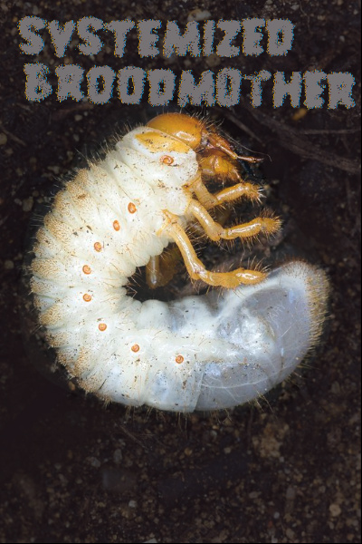 Systemized Broodmother