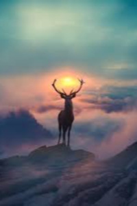 A Wrinkle in Reality