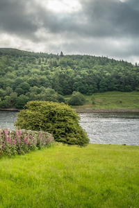 Pemberly: Never the Same