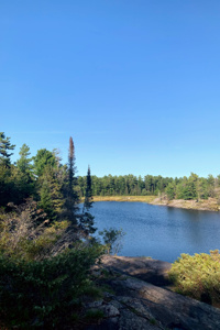 The Wolfish Appetite