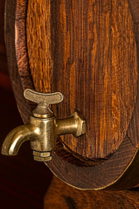 This Life As A Bard (Working Title)