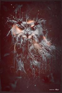 The Owl Of Death