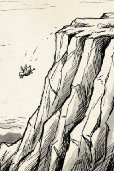 Living from a Birds Eye View