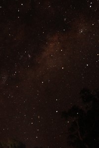 The World of Elements